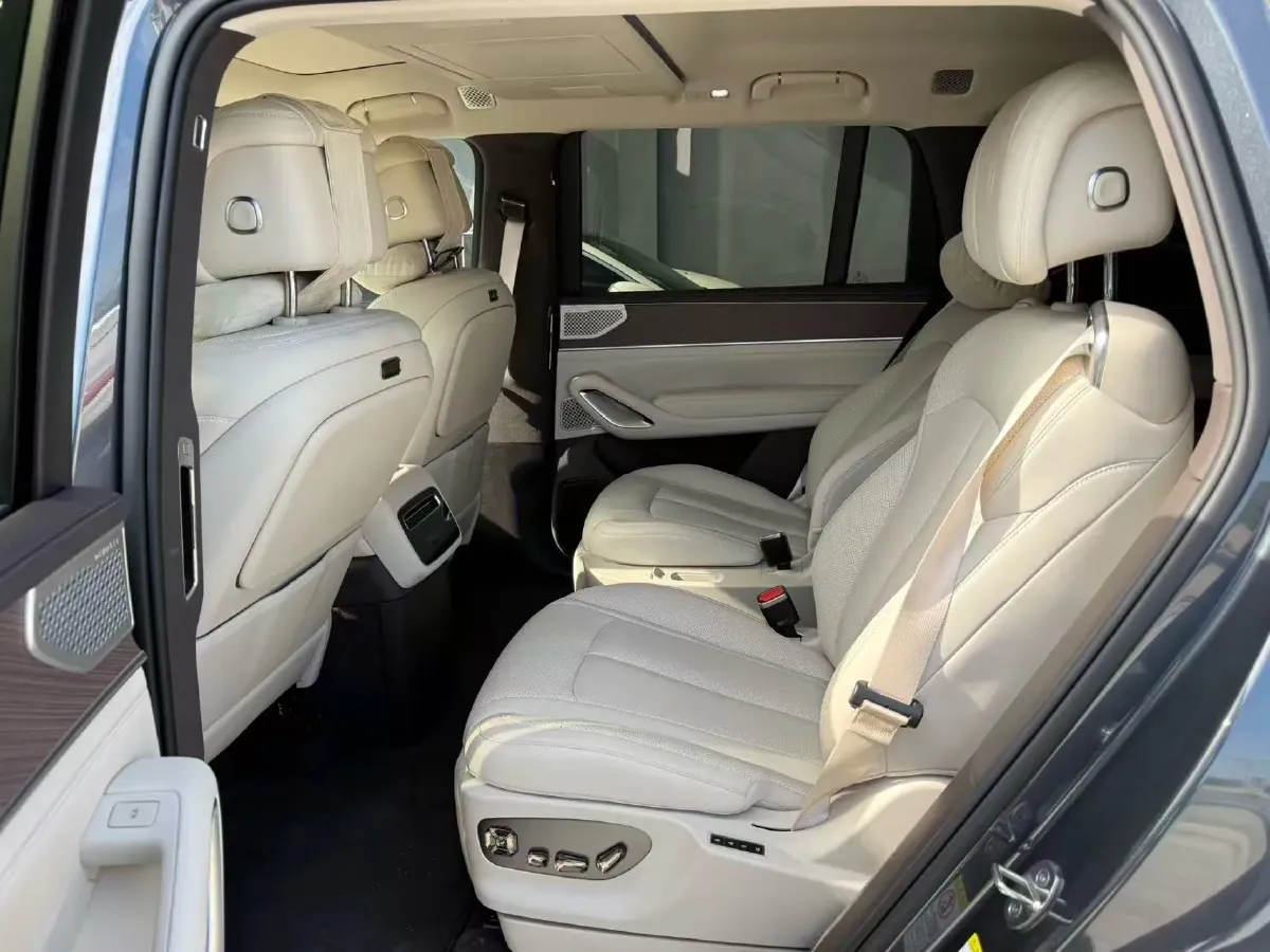 2025 Denza DenzaN9 2.0T 207HP L4 E-CVT PHEV,autocango,china used car exporter,china ev exporter,chinese used car exporter,chinese used ev exporter