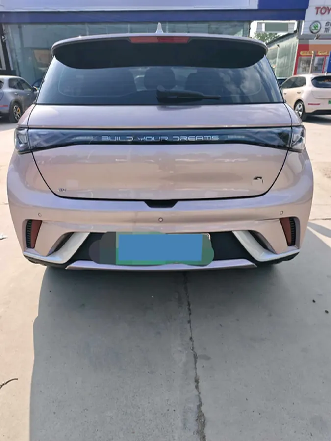 2023 BYD Dolphin BEV 44.928KWH,autocango,china used car exporter,china ev exporter,chinese used car exporter,chinese used ev exporter