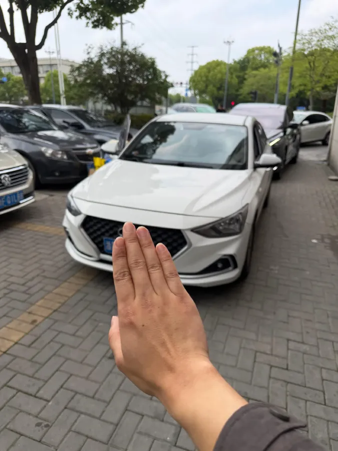 2020 Hyundai Celesta 1.6L 123HP L4 6AT,autocango,china used car exporter,china ev exporter,chinese used car exporter,chinese used ev exporter