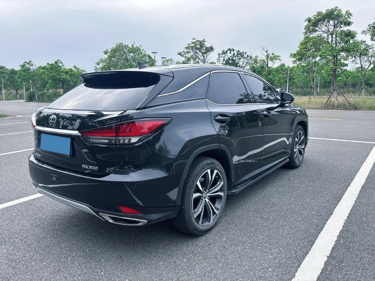 2020 Lexus RX 2.0T 231HP L4 6AT,autocango,china used car exporter,china ev exporter,chinese used car exporter,chinese used ev exporter