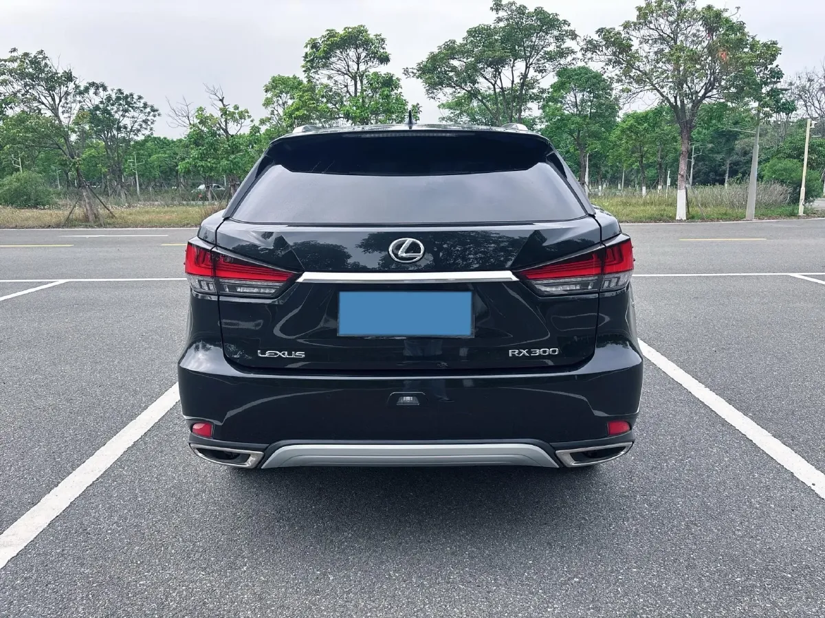 2020 Lexus RX 2.0T 231HP L4 6AT,autocango,china used car exporter,china ev exporter,chinese used car exporter,chinese used ev exporter