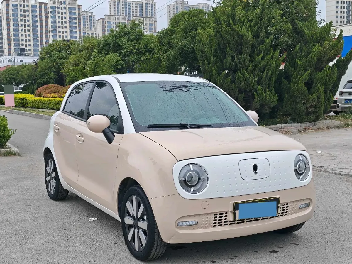 2021 Ora BlackCat BEV 33KWH,autocango,china used car exporter,china ev exporter,chinese used car exporter,chinese used ev exporter