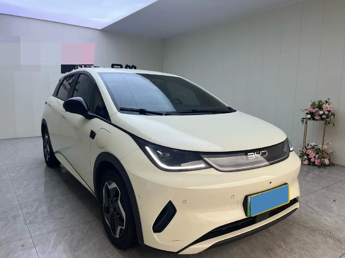 2025 BYD Dolphin BEV 45.12KWH,autocango,china used car exporter,china ev exporter,chinese used car exporter,chinese used ev exporter