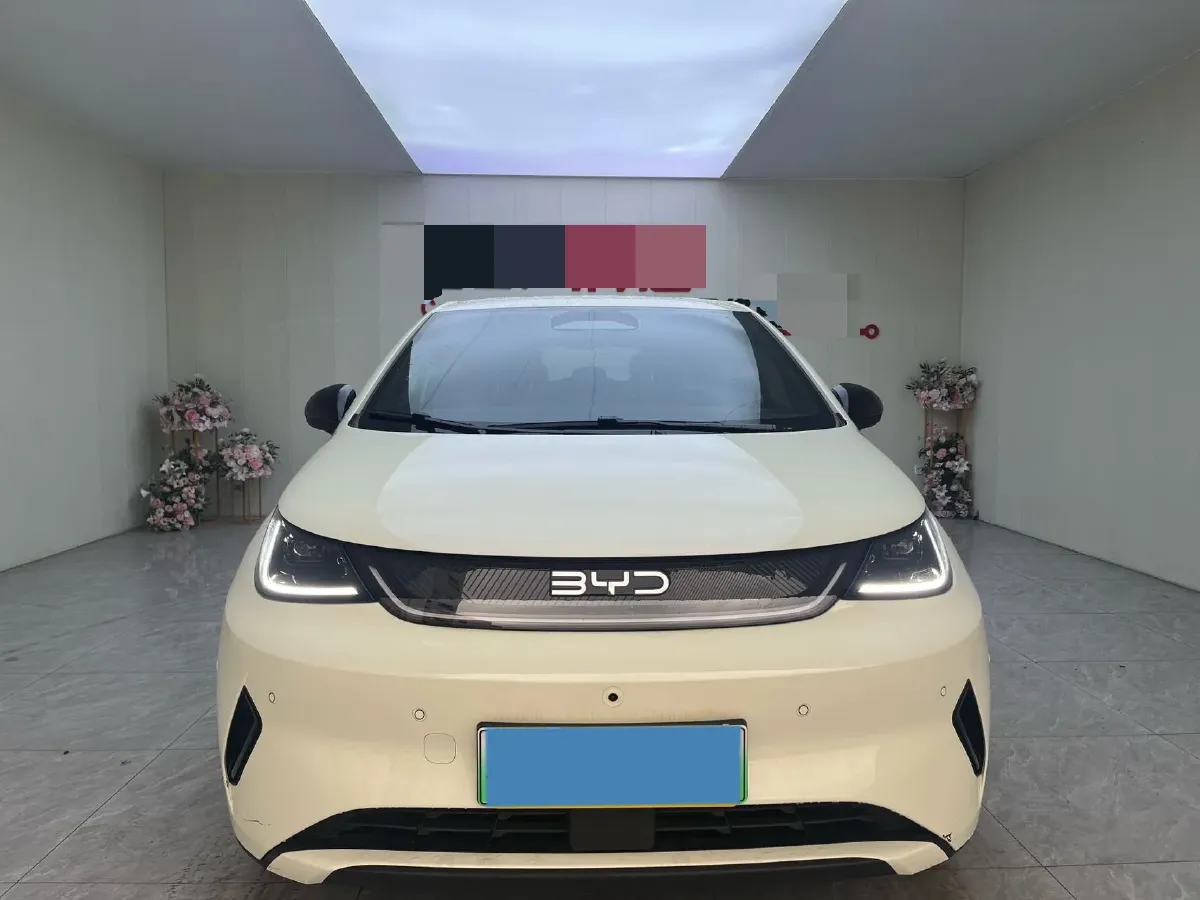 2025 BYD Dolphin BEV 45.12KWH,autocango,china used car exporter,china ev exporter,chinese used car exporter,chinese used ev exporter