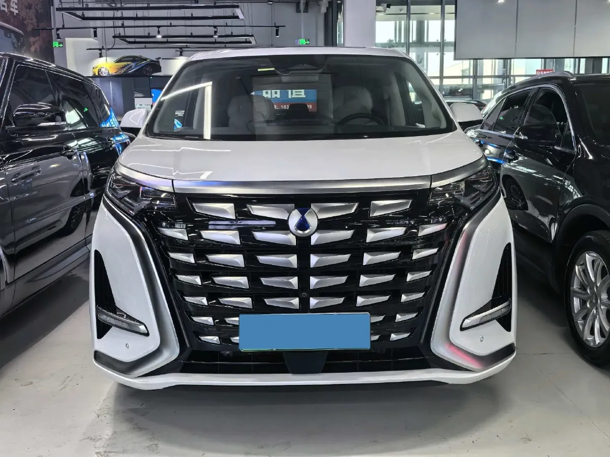 2024 Denza D9 1.5T 139HP L4 E-CVT PHEV 40KWH,autocango,china used car exporter,china ev exporter,chinese used car exporter,chinese used ev exporter