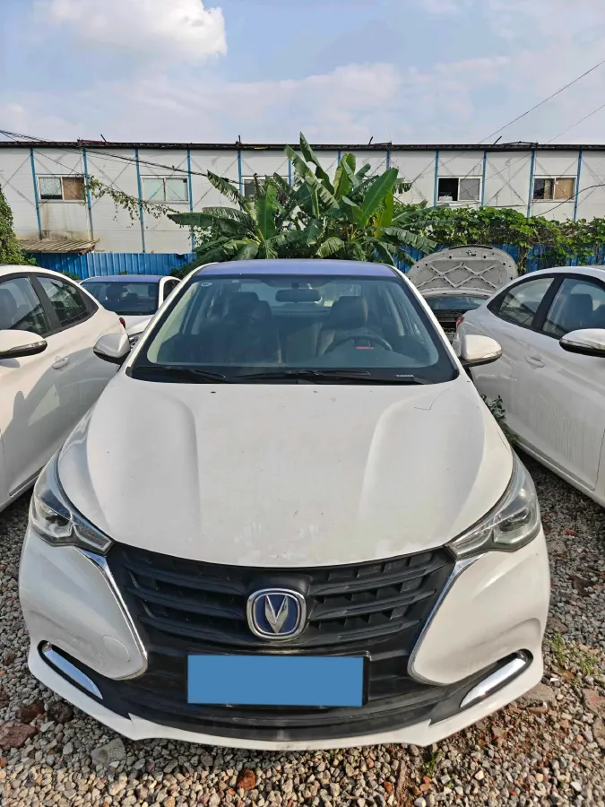 2019 ChangAn Alsvin 1.5L 107HP L4 5DCT,autocango,china used car exporter,china ev exporter,chinese used car exporter,chinese used ev exporter