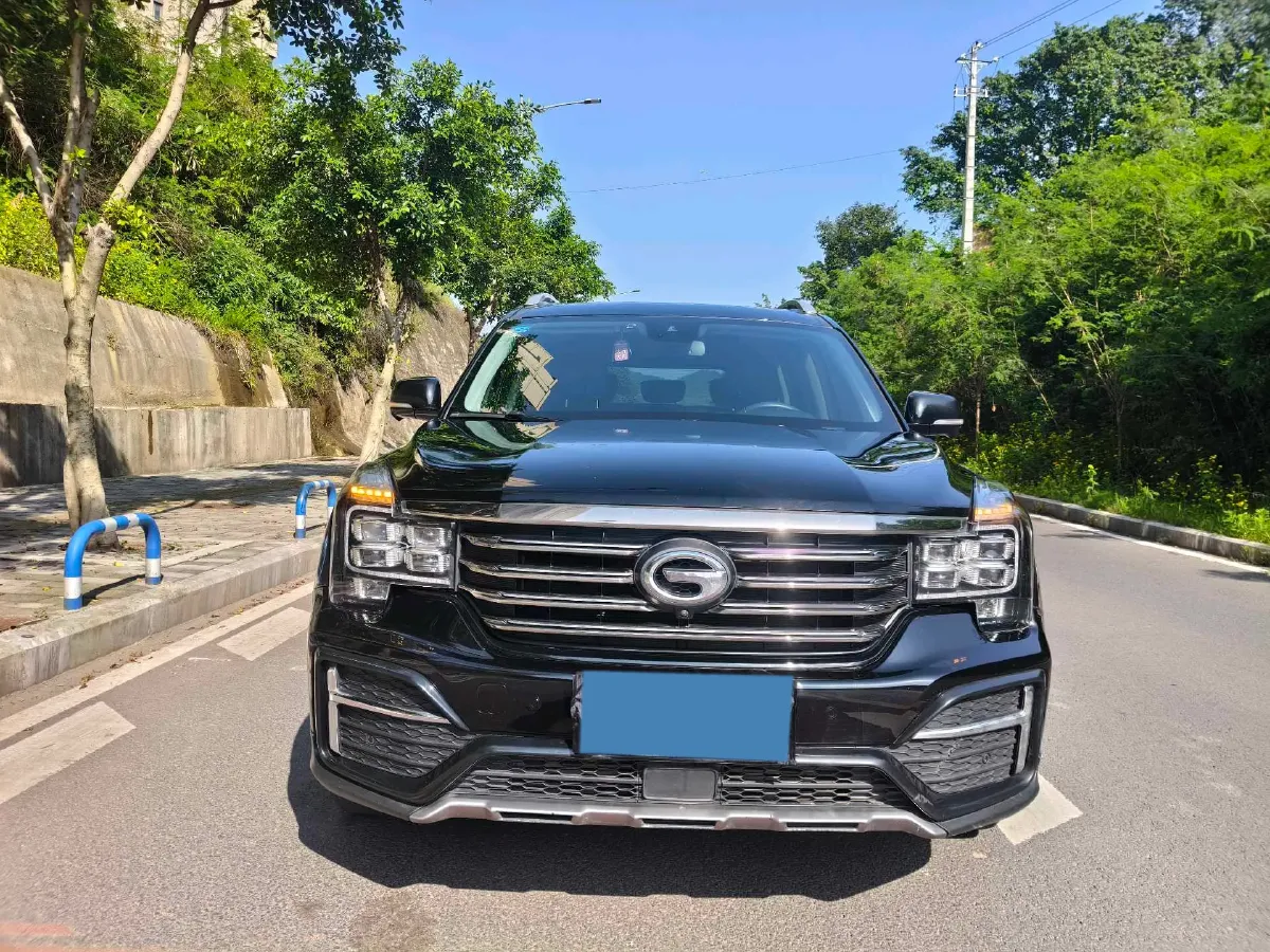 2020 GAC Trumpchi GS8 2.0T 252HP L4 6AT,autocango,china used car exporter,china ev exporter,chinese used car exporter,chinese used ev exporter