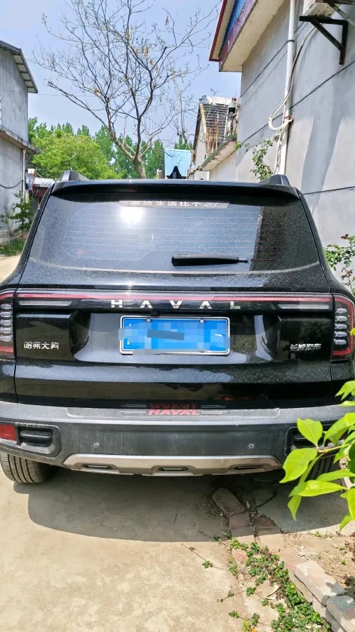 2024 Haval Dargo 1.5T 184HP L4 7DCT,autocango,china used car exporter,china ev exporter,chinese used car exporter,chinese used ev exporter