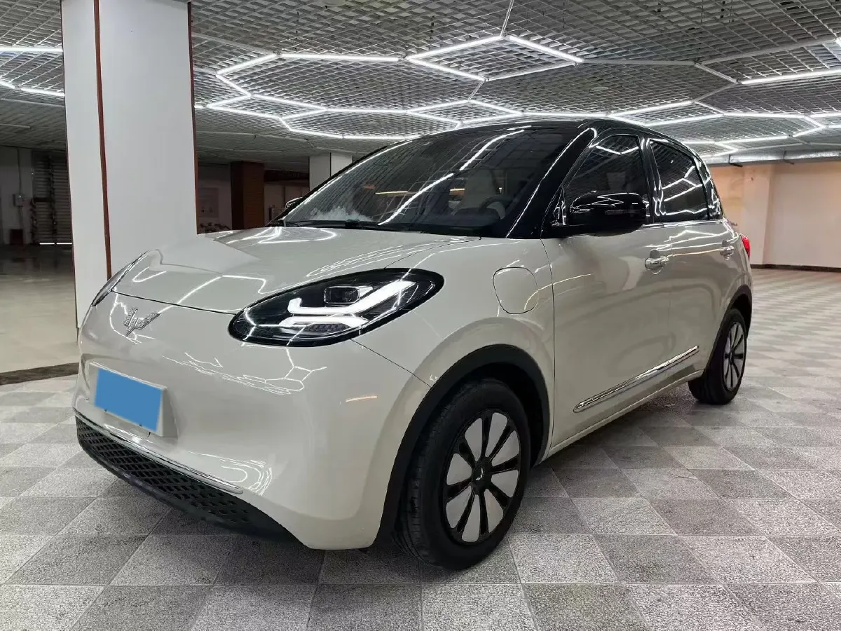 2023 WuLing BinGuo BEV 37.9KWH,autocango,china used car exporter,china ev exporter,chinese used car exporter,chinese used ev exporter