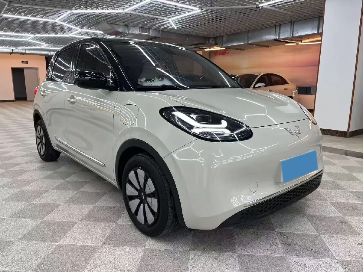 2023 WuLing BinGuo BEV 37.9KWH,autocango,china used car exporter,china ev exporter,chinese used car exporter,chinese used ev exporter