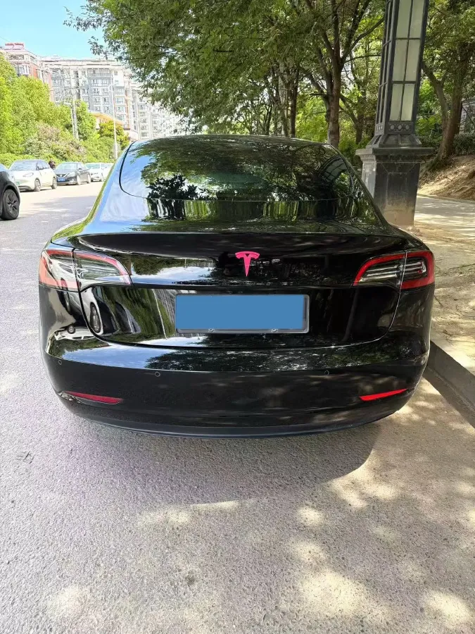2021 Tesla Model 3 BEV 55KWH,autocango,china used car exporter,china ev exporter,chinese used car exporter,chinese used ev exporter