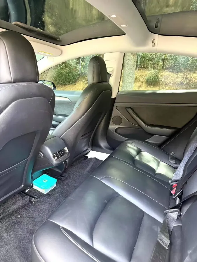 2021 Tesla Model 3 BEV 55KWH,autocango,china used car exporter,china ev exporter,chinese used car exporter,chinese used ev exporter