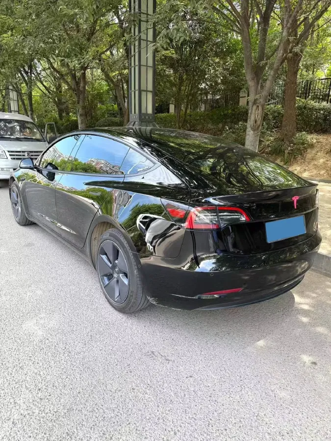 2021 Tesla Model 3 BEV 55KWH,autocango,china used car exporter,china ev exporter,chinese used car exporter,chinese used ev exporter