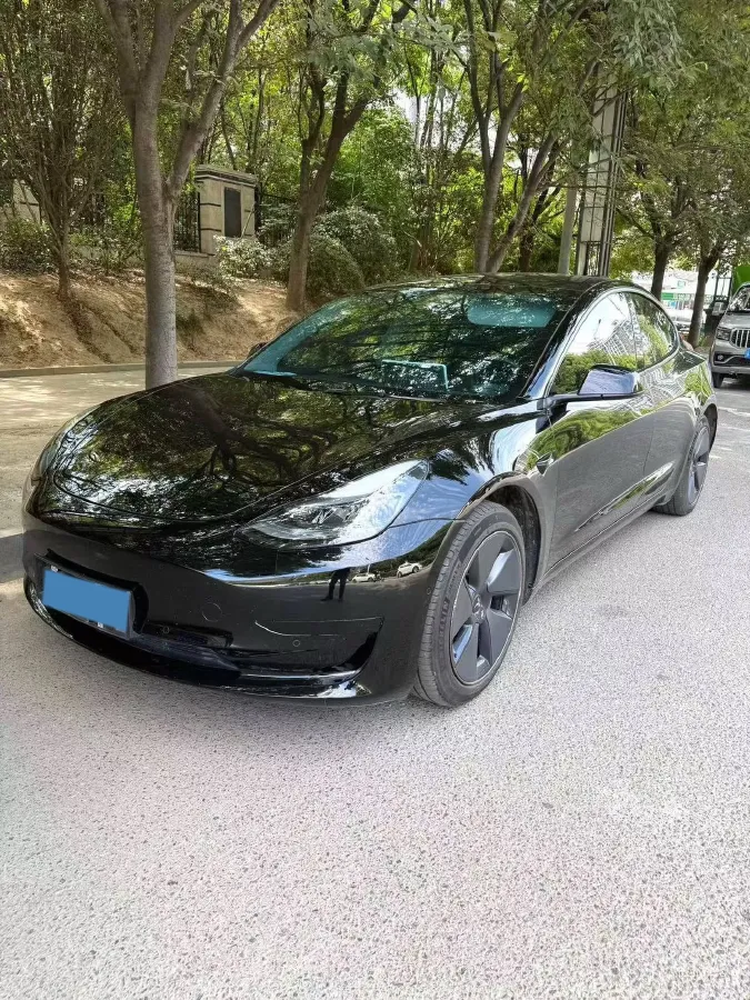 2021 Tesla Model 3 BEV 55KWH,autocango,china used car exporter,china ev exporter,chinese used car exporter,chinese used ev exporter