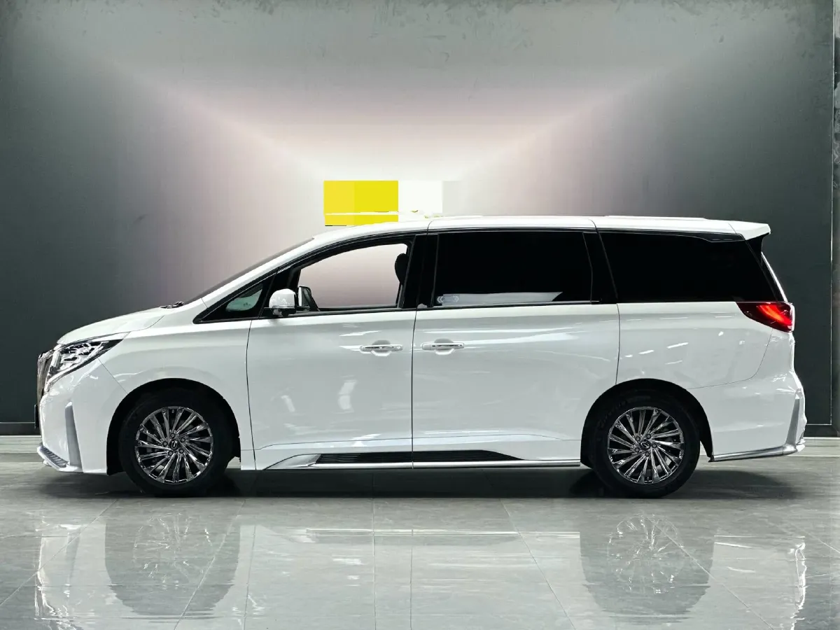 2021 GAC Trumpchi M8 2.0T 252HP L4 8AT,autocango,china used car exporter,china ev exporter,chinese used car exporter,chinese used ev exporter