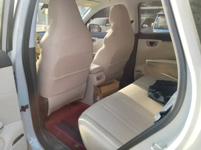 2025 WuLing BinGuo BEV,autocango,china used car exporter,china ev exporter,chinese used car exporter,chinese used ev exporter