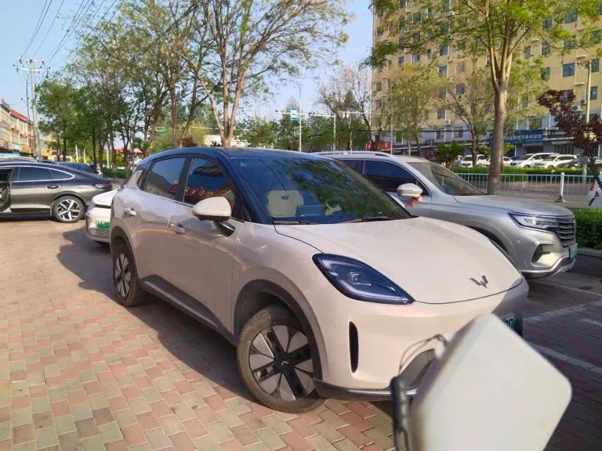 2025 WuLing BinGuo BEV,autocango,china used car exporter,china ev exporter,chinese used car exporter,chinese used ev exporter