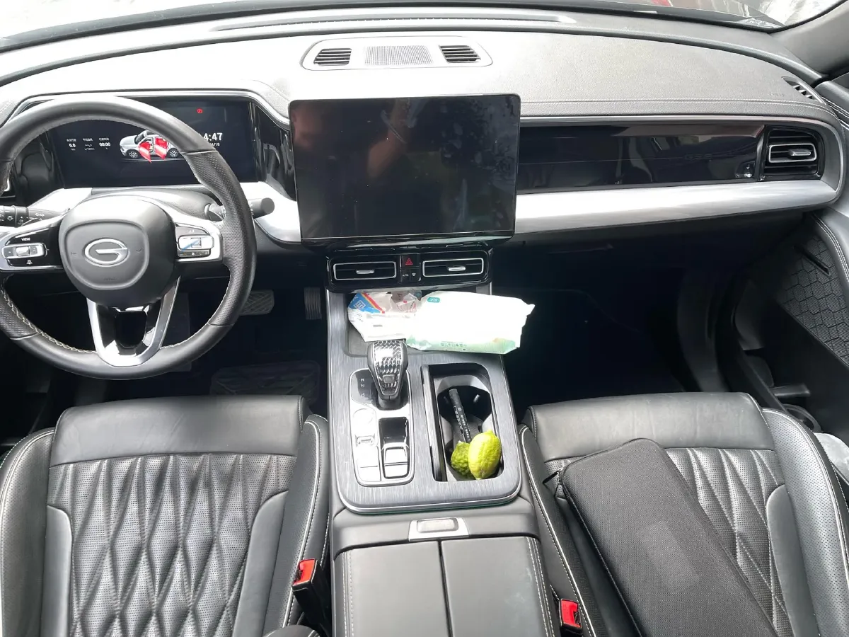 2022 GAC Trumpchi GS8 2.0T 252HP L4 8AT,autocango,china used car exporter,china ev exporter,chinese used car exporter,chinese used ev exporter