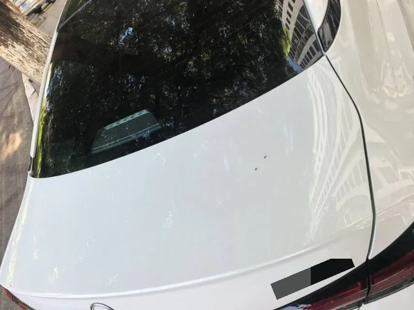 2022 Nissan Teana 2.0L 156HP L4 CVT,autocango,china used car exporter,china ev exporter,chinese used car exporter,chinese used ev exporter