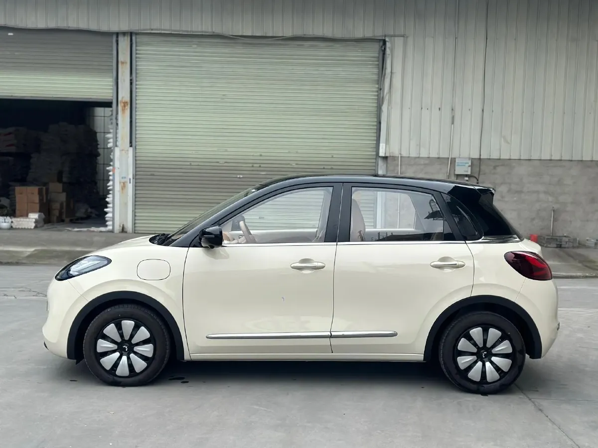 2025 WuLing BinGuo BEV,autocango,china used car exporter,china ev exporter,chinese used car exporter,chinese used ev exporter