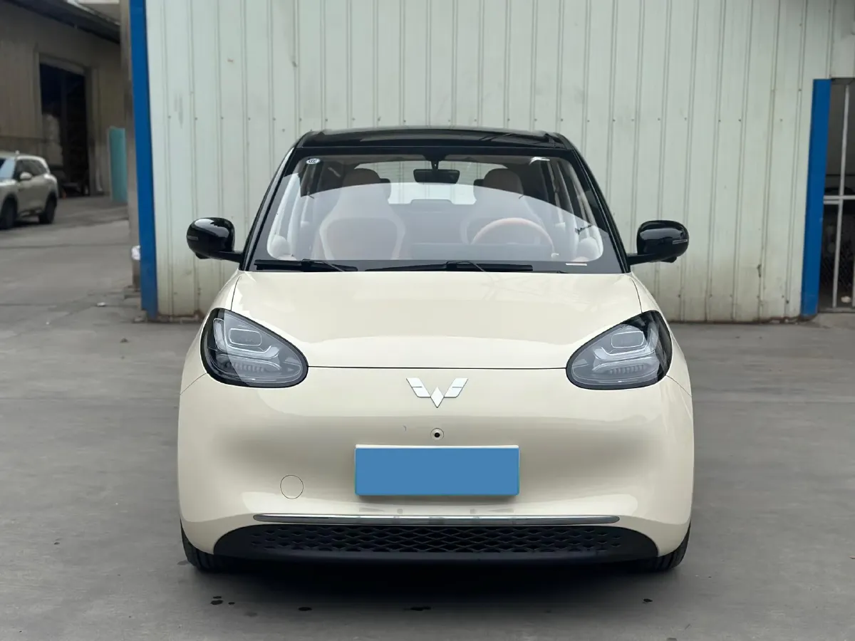 2025 WuLing BinGuo BEV,autocango,china used car exporter,china ev exporter,chinese used car exporter,chinese used ev exporter