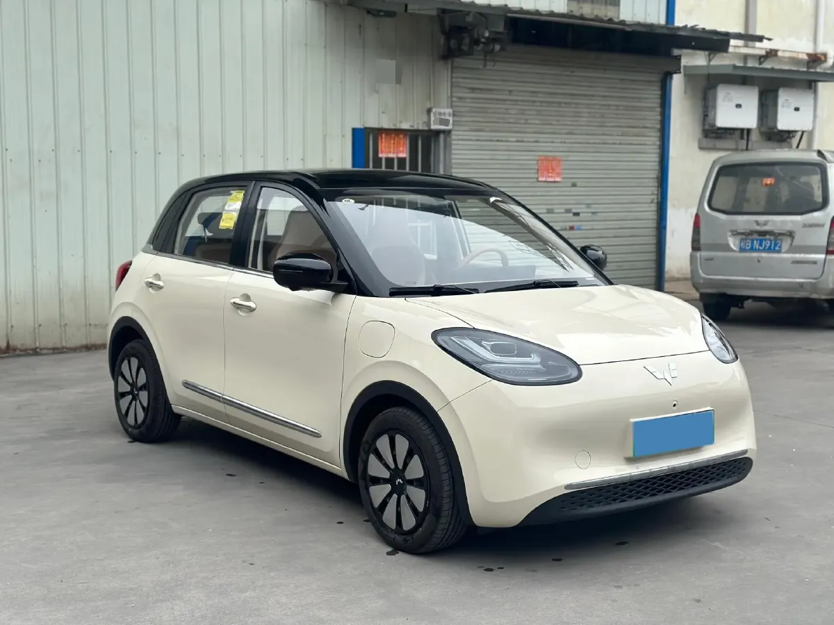 2025 WuLing BinGuo BEV,autocango,china used car exporter,china ev exporter,chinese used car exporter,chinese used ev exporter