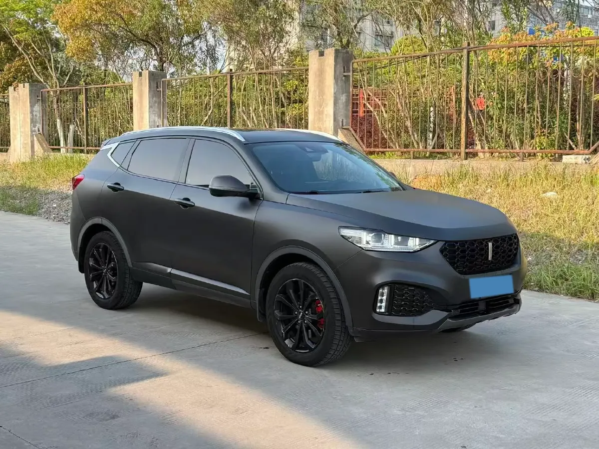 2019 WEY VV6 2.0T 224HP L4 7DCT,autocango,china used car exporter,china ev exporter,chinese used car exporter,chinese used ev exporter