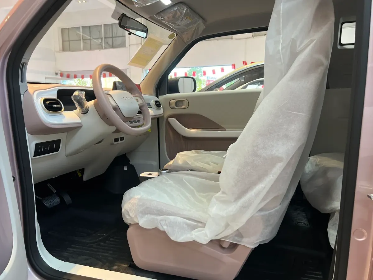 2025 Geely Lanqiqiu BEV,autocango,china used car exporter,china ev exporter,chinese used car exporter,chinese used ev exporter