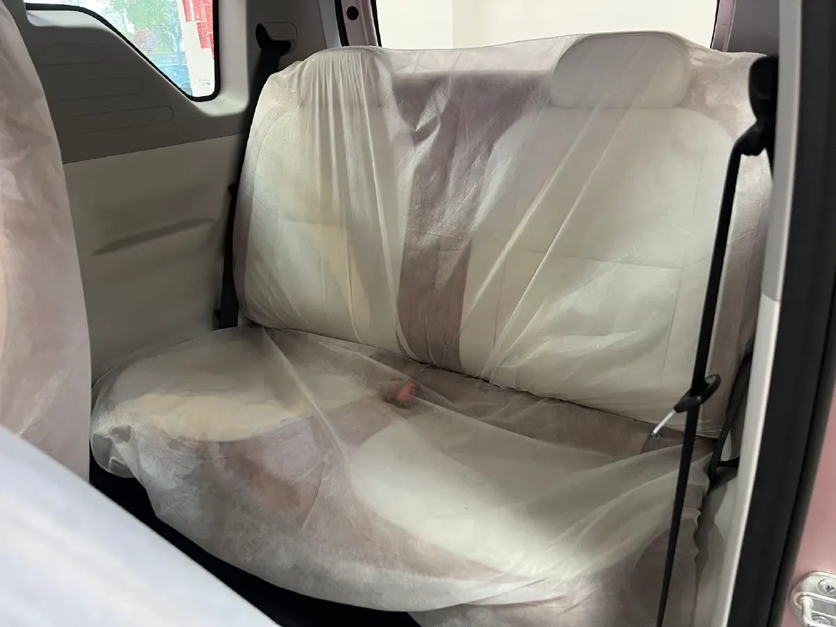 2025 Geely Lanqiqiu BEV,autocango,china used car exporter,china ev exporter,chinese used car exporter,chinese used ev exporter