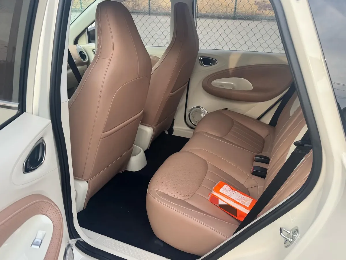 2025 WuLing BinGuo BEV,autocango,china used car exporter,china ev exporter,chinese used car exporter,chinese used ev exporter