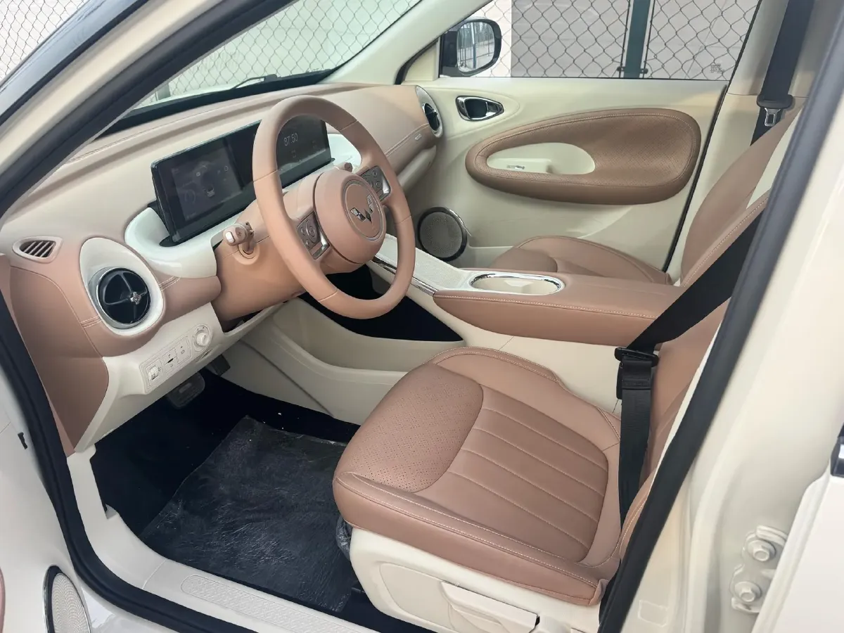 2025 WuLing BinGuo BEV,autocango,china used car exporter,china ev exporter,chinese used car exporter,chinese used ev exporter