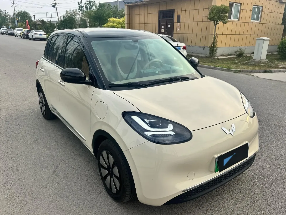2025 WuLing BinGuo BEV,autocango,china used car exporter,china ev exporter,chinese used car exporter,chinese used ev exporter