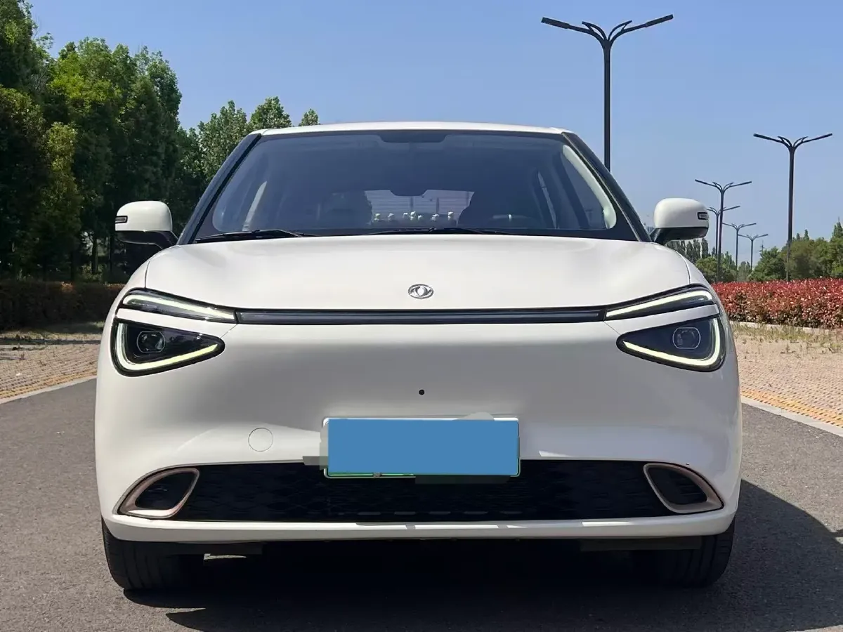 2024 DongFeng eπ 01 BEV 31.45KWH,autocango,china used car exporter,china ev exporter,chinese used car exporter,chinese used ev exporter