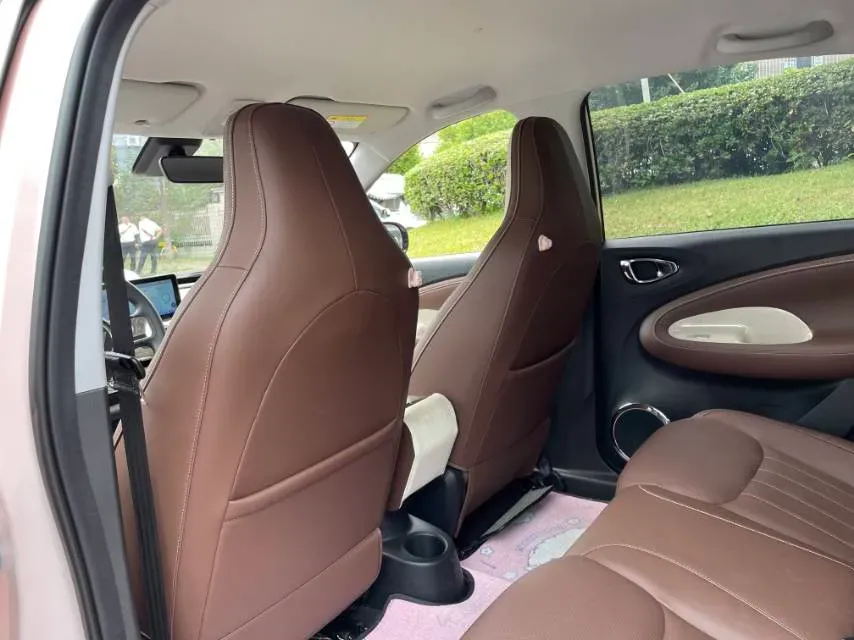 2023 WuLing BinGuo BEV 31.9KWH,autocango,china used car exporter,china ev exporter,chinese used car exporter,chinese used ev exporter