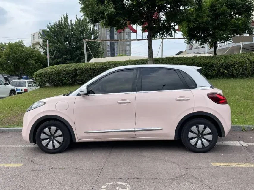 2023 WuLing BinGuo BEV 31.9KWH,autocango,china used car exporter,china ev exporter,chinese used car exporter,chinese used ev exporter