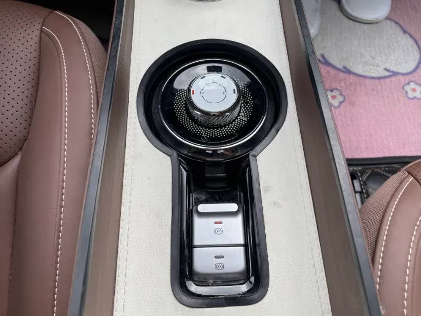 2023 WuLing BinGuo BEV 31.9KWH,autocango,china used car exporter,china ev exporter,chinese used car exporter,chinese used ev exporter