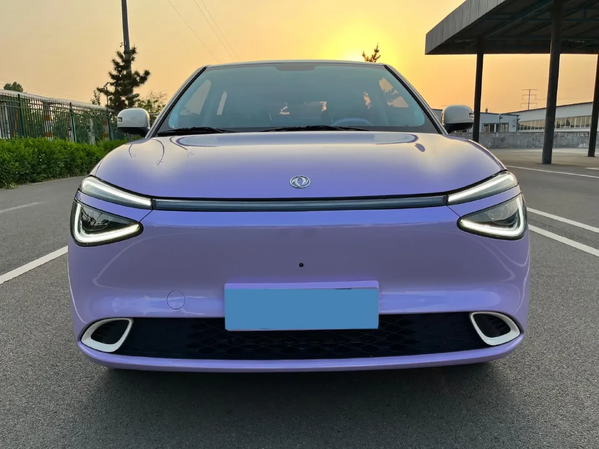 2024 DongFeng eπ 01 BEV 31.45KWH,autocango,china used car exporter,china ev exporter,chinese used car exporter,chinese used ev exporter