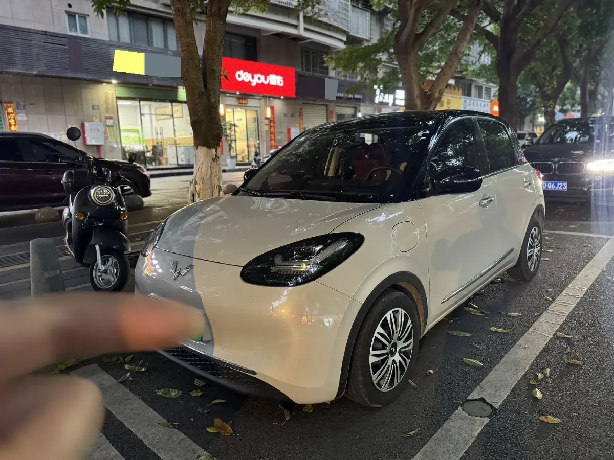 2024 WuLing BinGuo BEV 31.9KWH,autocango,china used car exporter,china ev exporter,chinese used car exporter,chinese used ev exporter