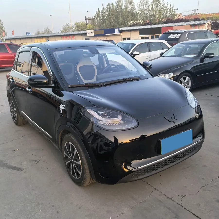 2023 WuLing BinGuo BEV 31.9KWH,autocango,china used car exporter,china ev exporter,chinese used car exporter,chinese used ev exporter