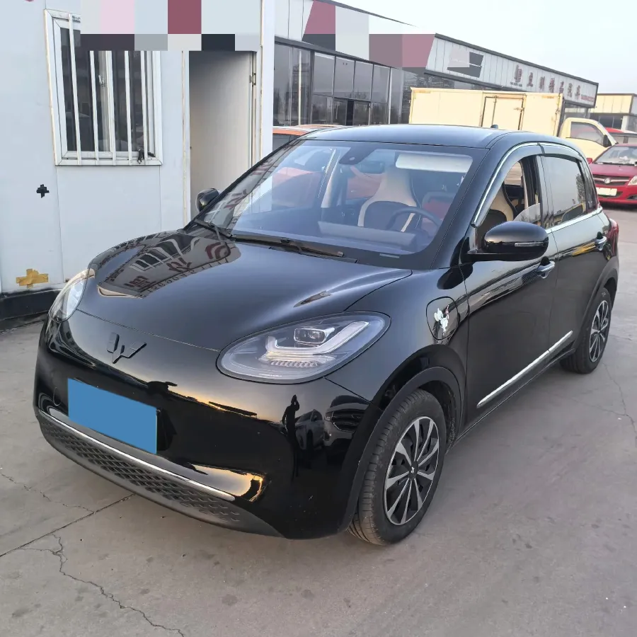 2023 WuLing BinGuo BEV 31.9KWH,autocango,china used car exporter,china ev exporter,chinese used car exporter,chinese used ev exporter
