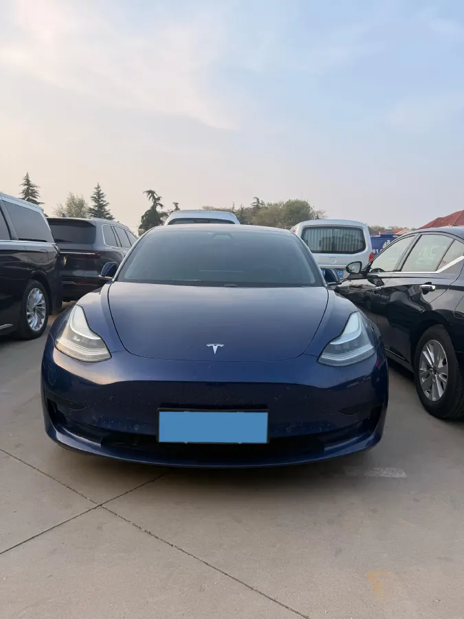 2020 Tesla Model 3 BEV 55KWH,autocango,china used car exporter,china ev exporter,chinese used car exporter,chinese used ev exporter