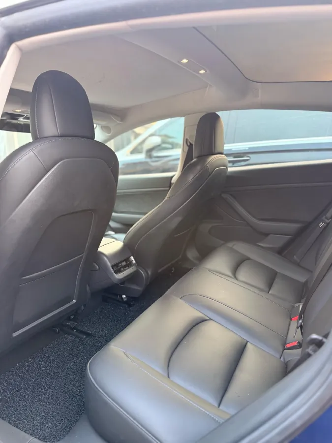 2020 Tesla Model 3 BEV 55KWH,autocango,china used car exporter,china ev exporter,chinese used car exporter,chinese used ev exporter