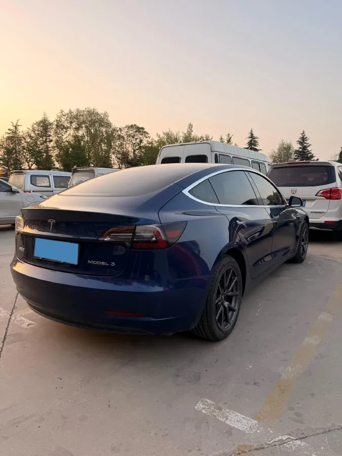 2020 Tesla Model 3 BEV 55KWH,autocango,china used car exporter,china ev exporter,chinese used car exporter,chinese used ev exporter