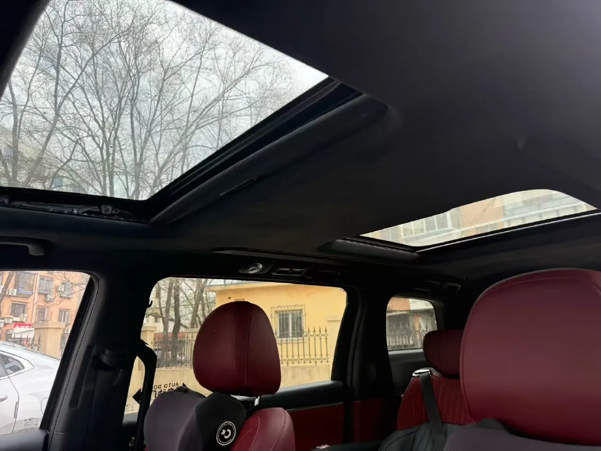 2024 GAC Trumpchi M8 2.0T 252HP L4 8AT,autocango,china used car exporter,china ev exporter,chinese used car exporter,chinese used ev exporter