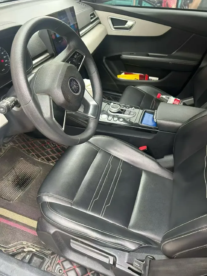 2021 BYD Qin BEV 53.56KWH,autocango,china used car exporter,china ev exporter,chinese used car exporter,chinese used ev exporter