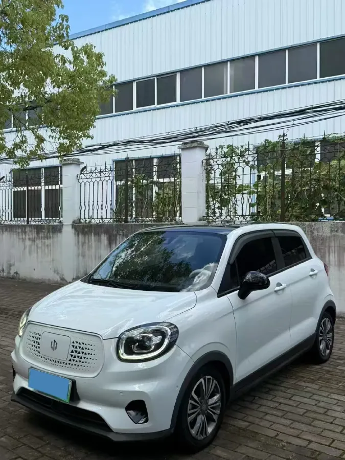 2020 Leapmotor T03 BEV 38KWH,autocango,china used car exporter,china ev exporter,chinese used car exporter,chinese used ev exporter