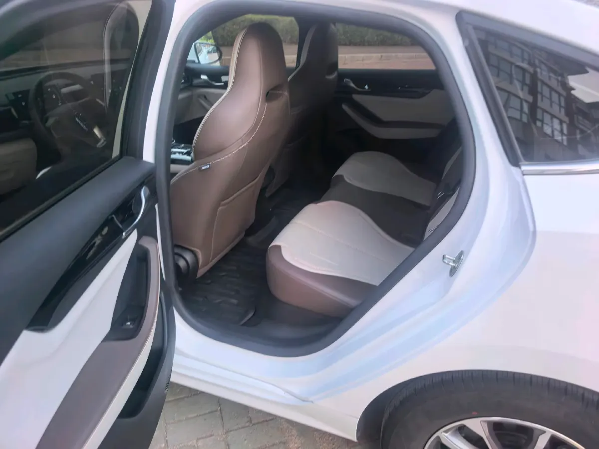 2024 BYD Qin Plus 1.5L 110HP L4 E-CVT PHEV 8.32KWH,autocango,china used car exporter,china ev exporter,chinese used car exporter,chinese used ev exporter