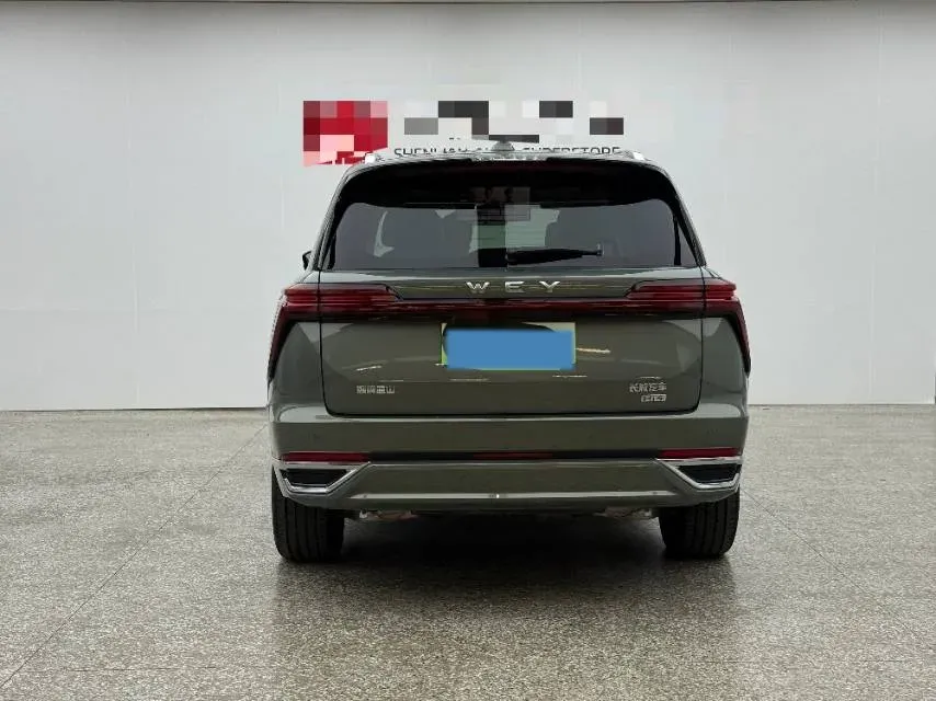 2025 WEY BlueMountain 1.5T 170HP L4 4DHT PHEV 44.5KWH,autocango,china used car exporter,china ev exporter,chinese used car exporter,chinese used ev exporter