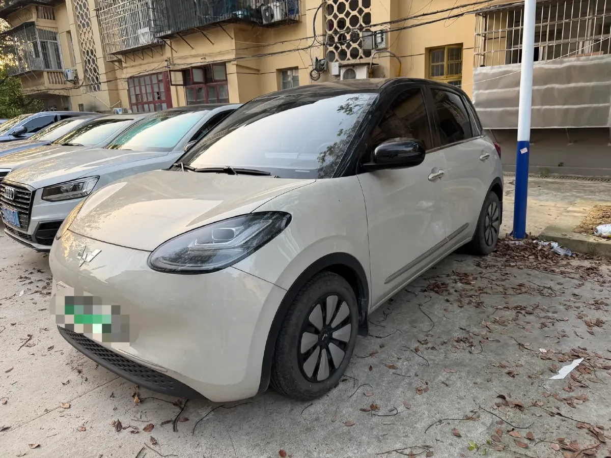 2023 WuLing BinGuo BEV 17.3KWH,autocango,china used car exporter,china ev exporter,chinese used car exporter,chinese used ev exporter