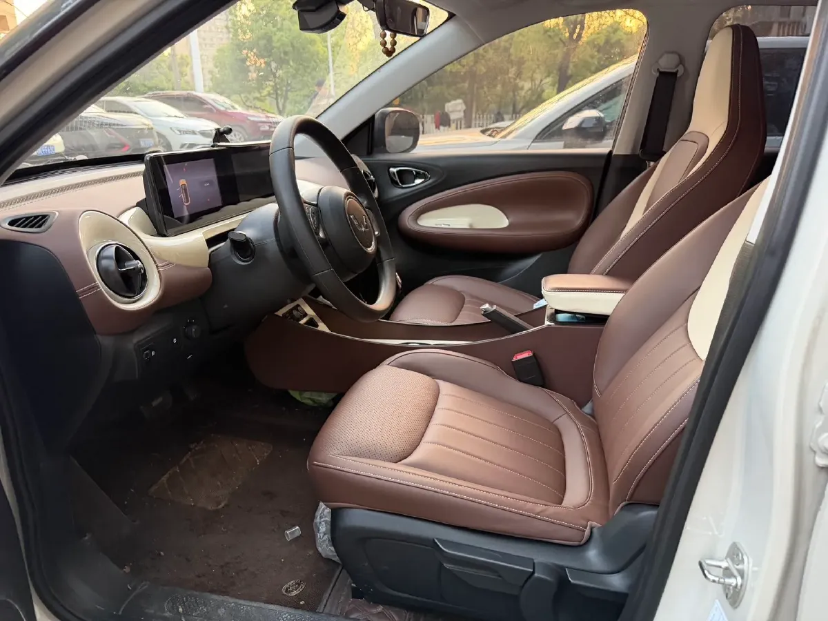 2023 WuLing BinGuo BEV 17.3KWH,autocango,china used car exporter,china ev exporter,chinese used car exporter,chinese used ev exporter